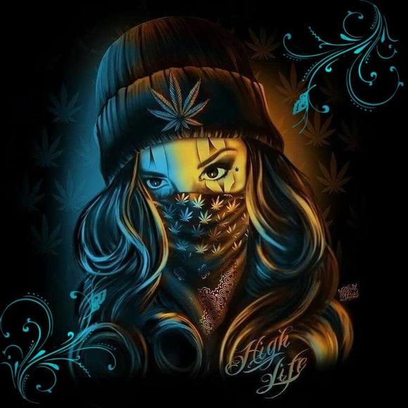 Meet your Posher, Jake - Picture 1 of 1